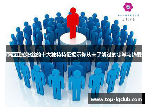 穆西亚拉粉丝的十大独特特征揭示你从未了解过的忠诚与热爱