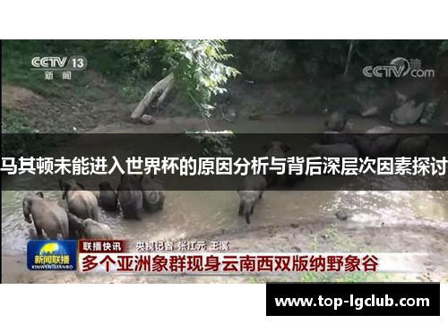 马其顿未能进入世界杯的原因分析与背后深层次因素探讨