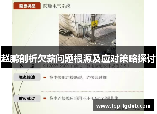 赵鹏剖析欠薪问题根源及应对策略探讨