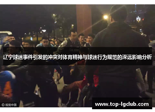 辽宁球迷事件引发的冲突对体育精神与球迷行为规范的深远影响分析