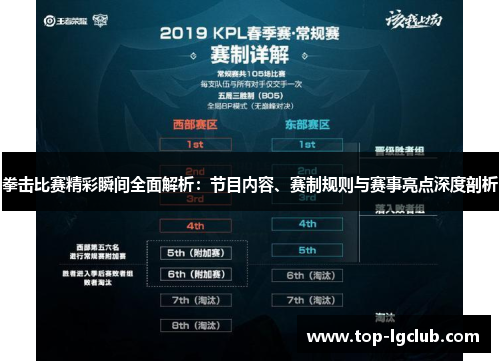 拳击比赛精彩瞬间全面解析：节目内容、赛制规则与赛事亮点深度剖析