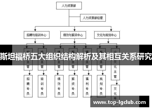 斯坦福桥五大组织结构解析及其相互关系研究