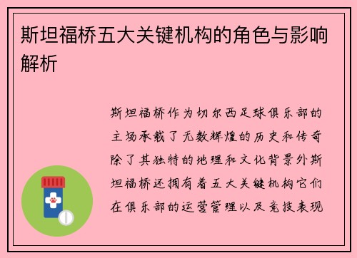 斯坦福桥五大关键机构的角色与影响解析 斯坦福桥五大关键机构的角色与影响解析